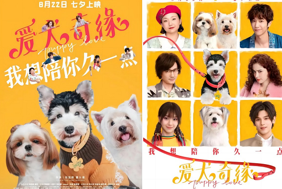 佩蒂首部赞助宠物爱情喜剧电影《爱犬奇缘》定档七夕! 佩蒂首部赞助宠物爱情喜剧电影《爱犬奇缘》定档七夕!