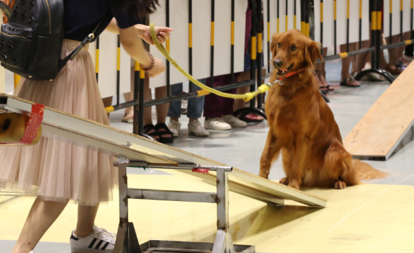 潮宠展萌宠展宠博会|精彩重温!期待2024再续辉煌! 潮宠展萌宠展宠博会|精彩重温!期待2024再续辉煌!