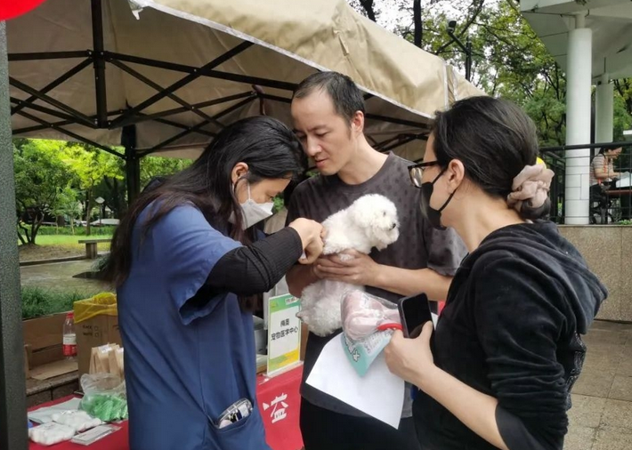 宠物美食、爱心领养…… 万里萌宠市集好热闹