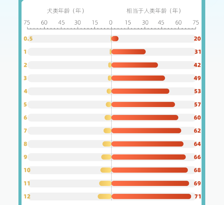 宠物寿命排行：现代“爱宠”方式让狗减寿6年