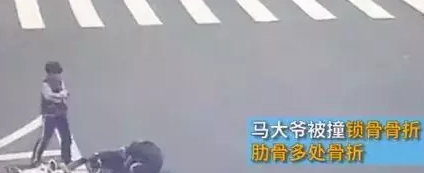 二哈一个自由奔跑,让主人赔了三万多! 二哈一个自由奔跑,让主人赔了三万多!