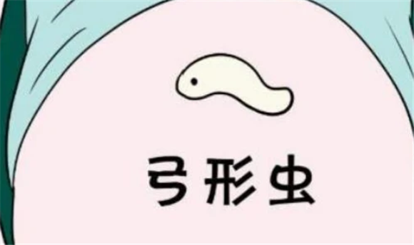 弓形虫是怎么传染给人的