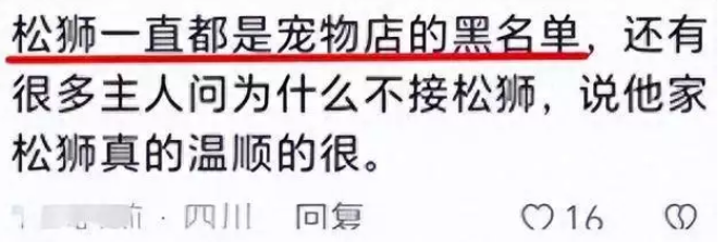 盐城女被狗咬续,女方缝500多针,传狗已不在,责任认定争执不休 盐城女被狗咬续,女方缝500多针,传狗已不在,责任认定争执不休