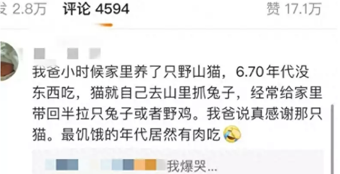 小猫咪真的会报恩！上海浦西一小哥被困工厂，流浪猫送上整条鱼