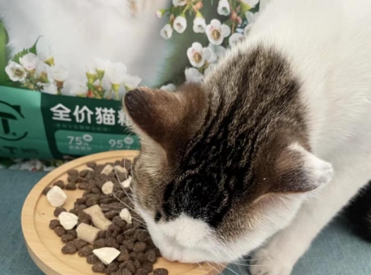 小t粮猫粮属于什么档次 小t粮猫粮属于什么档次