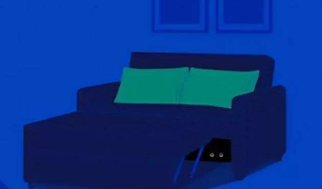 年度最倒霉的猫,被沙发撞到缝针,还因此得了个奖 年度最倒霉的猫,被沙发撞到缝针,还因此得了个奖