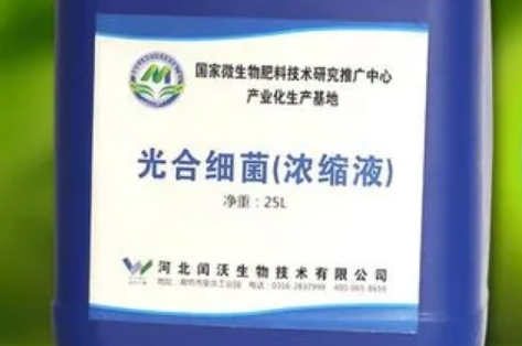 光合细菌正确使用方法