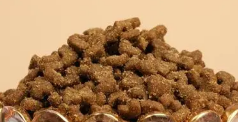 果梨派宠物食品:质量上乘的天然粮 果梨派宠物食品:质量上乘的天然粮