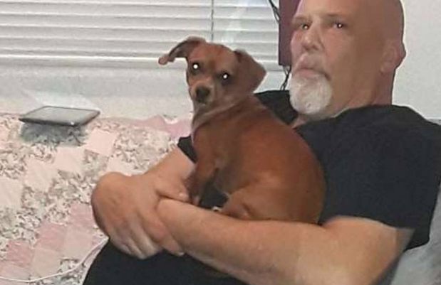 忠犬死守病床上的主人,医生查房时病人不动了 忠犬死守病床上的主人,医生查房时病人不动了