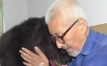 七旬老人和狗狗相依为命11年，立下遗嘱留8万元给爱犬当养老金...