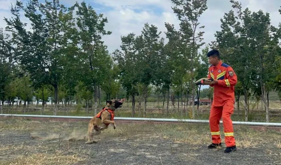 新疆消防救援总队全国第七届消防搜救犬比武备战侧记