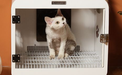 pettime宠物烘干机怎么样？了解一下