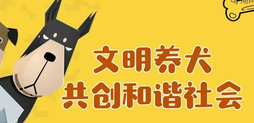 两部门：在部分城市集中开展规范宠物诊疗秩序专项整治行动