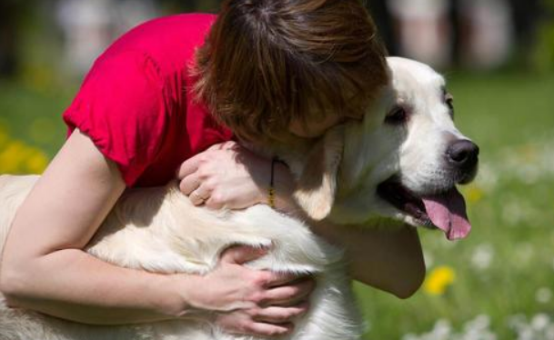 注意！南京禁养这30种犬种