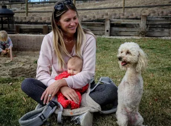 泰迪因车祸被截肢,又遭主人抛弃,孕妇领养后改变了它 泰迪因车祸被截肢,又遭主人抛弃,孕妇领养后改变了它