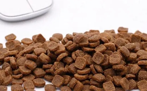 一只喜欢猫粮是什么档次的品牌 一只喜欢猫粮是什么档次的品牌