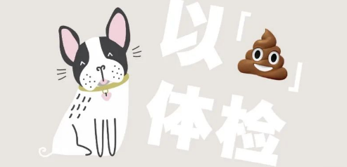 『纽益仕认证』不仅是养狗人,更是实力铲屎官 『纽益仕认证』不仅是养狗人,更是实力铲屎官
