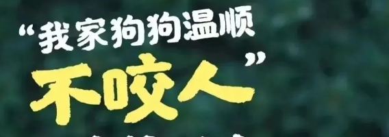 “宠”爱有方,阜康市发布不文明养犬专项整治通告,这些行为将受到处罚! “宠”爱有方,阜康市发布不文明养犬专项整治通告,这些行为将受到处罚!