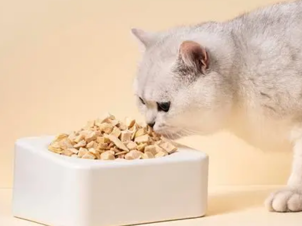 Zeze猫粮属于什么档次?有哪些功效? Zeze猫粮属于什么档次?有哪些功效?