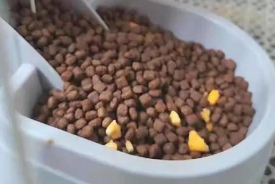 瓜洲牧豆腐猫砂和猫粮的特点是什么？