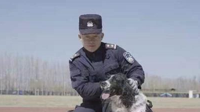 “青铜”变“汪者”！冰城警犬“太极”“嗨畏”被评为功勋犬