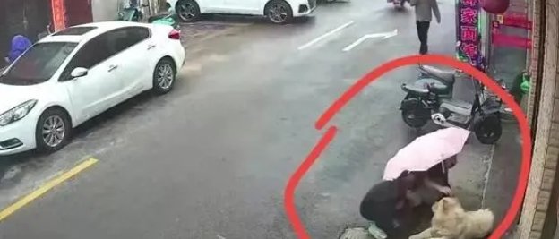 一向乖巧的宠物狗，被一女子逗发性情，后果不堪