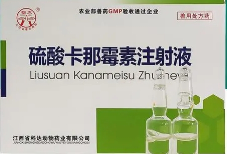 硫酸卡那霉素与氟苯尼考