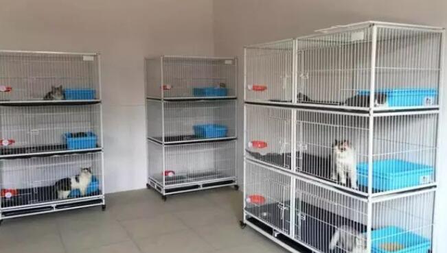獒运笼具,把最优质的产品带给每一位客户 獒运笼具,把最优质的产品带给每一位客户