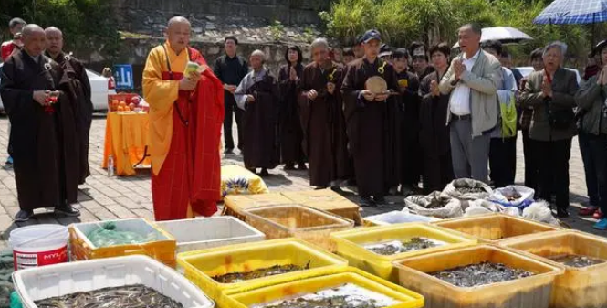放生的必念口诀简单