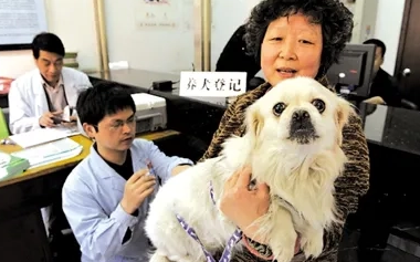 要把狗狗写在户口本上？北京警方：或承担法律责任，不可效仿！