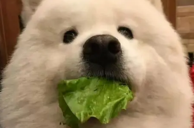 趣味知识竞赛