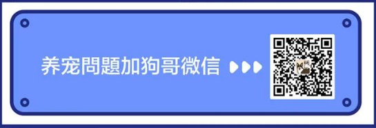 那些很好笑，但说错了的猫狗粮广子