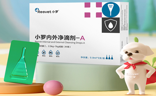 小罗宠物