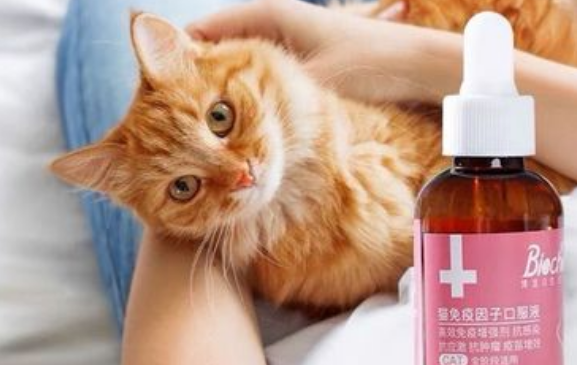 博莱得利犬瘟特异性免疫球蛋白：预防犬瘟的强大武器