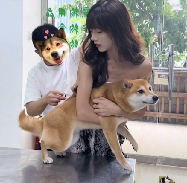 狗狗害怕打针，女生抱了它后立马就变乖了！