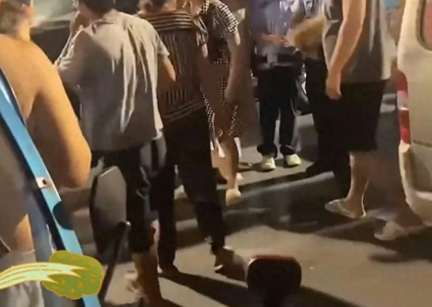宠物狗咬人,主人凭啥不负责 宠物狗咬人,主人凭啥不负责