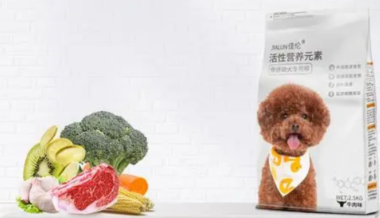 佳伦宠物用品:全方位的宠物关爱 佳伦宠物用品:全方位的宠物关爱