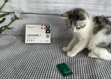 小罗宠物驱虫药好用吗