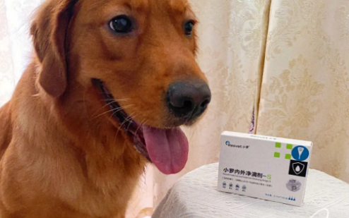 小罗宠物营养补充剂怎么使用吗？