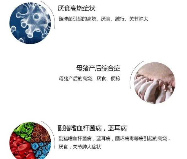 猪不吃食就打多必利