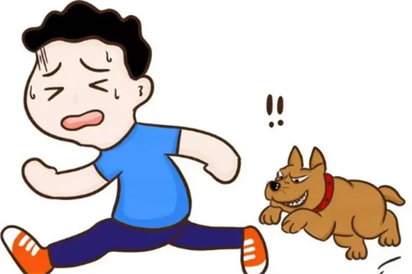 学生宿舍虐杀流浪狗，除了留校察看还有法律代价