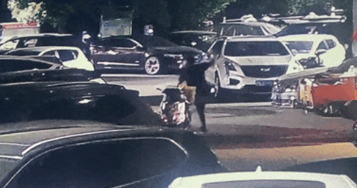 “请不要吃我的猫”:为了救猫,她成了“偷猫宰猫黑产”最怕的女人 “请不要吃我的猫”:为了救猫,她成了“偷猫宰猫黑产”最怕的女人