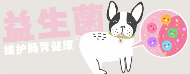 『纽益仕认证』不仅是养狗人,更是实力铲屎官 『纽益仕认证』不仅是养狗人,更是实力铲屎官
