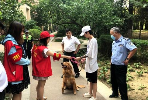 “铲屎官”们，请看管好自家的宠物