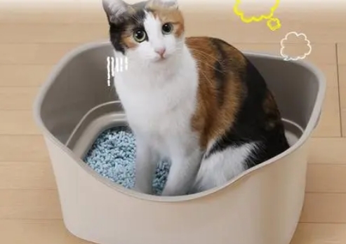 你们说，爱蓓诗IVPETS猫砂盆好用吗？