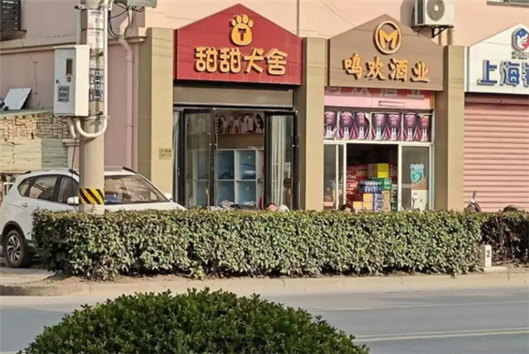 “星期狗”哪儿来的?30多家“犬业基地”扎堆上海西南角,污水横流环境不堪 “星期狗”哪儿来的?30多家“犬业基地”扎堆上海西南角,污水横流环境不堪