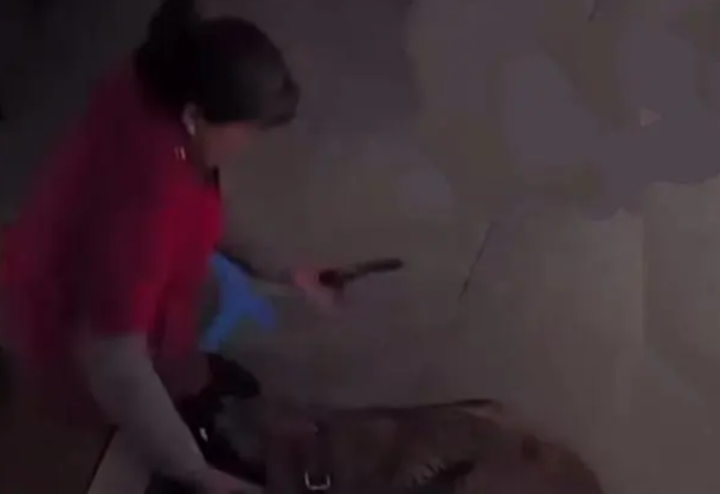 意外突袭，在家中竟遭狗袭伤身，警惕身边隐藏的危险