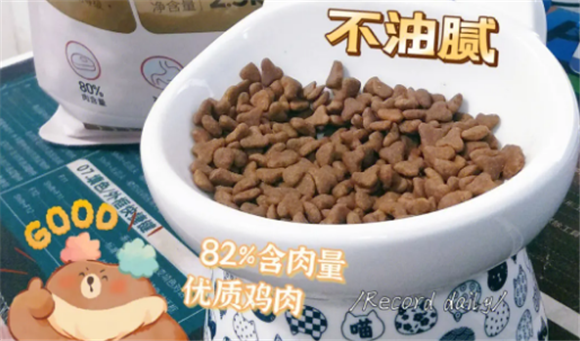 肉食回归猫粮怎么样?为猫咪成长助力 肉食回归猫粮怎么样?为猫咪成长助力