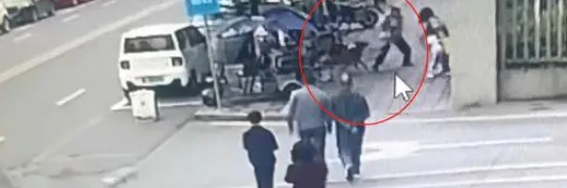 牵绳!牵绳!又见犬只攻击幼童,宠物管控再掀热议 牵绳!牵绳!又见犬只攻击幼童,宠物管控再掀热议