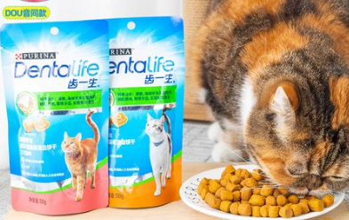 齿一生猫饼干:美味与营养的完美结合 齿一生猫饼干:美味与营养的完美结合